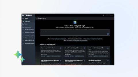 bitsight