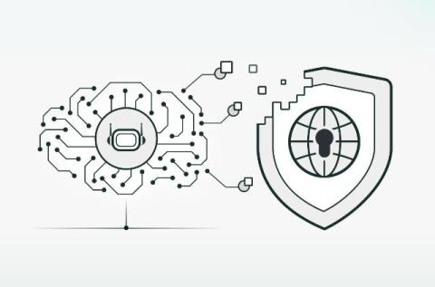 cato networks