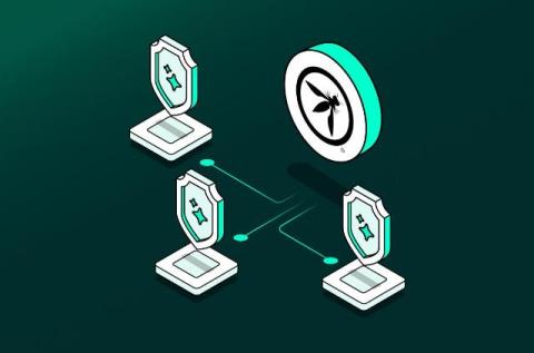 cato networks