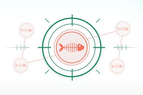cato networks