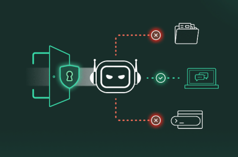 cato networks