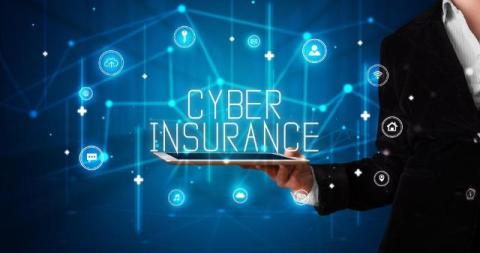 Mitigating the Impact of Data Breaches with Cyber Insurance and Incident Response