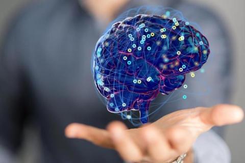 Understanding Cognitive Readiness in Cybersecurity: Why IQ Testing Matters