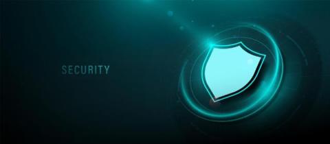 How Businesses Prepare for Security Risks