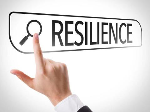Digital Resilience Becomes the Core of Business Stability
