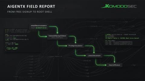 komodo consulting