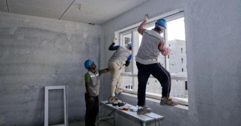 Pest Control to Avoid Expensive Repairs: Essential Steps for Property Protection