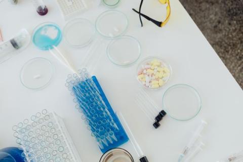 Why Every Company Should Consider Random Drug Testing