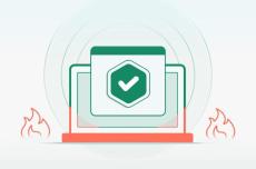 cato networks