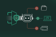 cato networks