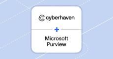cyberhaven