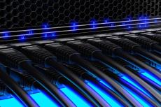 Networking: The Strategic Backbone of Business Resilience