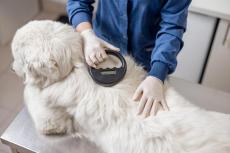 How Enterprises Vet Vendors: A Digital Contact Card Case Study