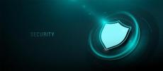 How Businesses Prepare for Security Risks