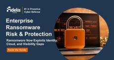 fidelis security