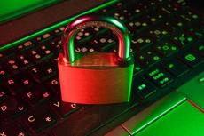 Penetration Testing Options Worth Knowing