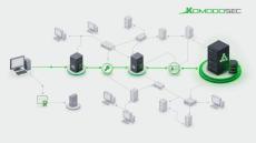 komodo consulting
