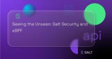 salt security